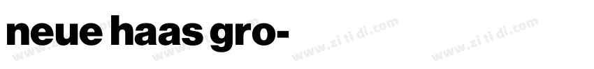 neue haas gro字体转换 neue haas gro字体转换